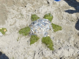 2022_Playa 2 089.jpg